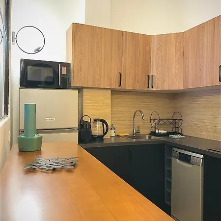 Apartment Le Jean Mace, 200m Gare, Clim. Grenoble